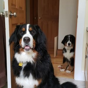 Meet your Posher, Elaine